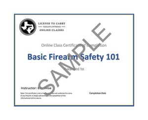 D&N Global Security - Basic Firearm Safety 101 Class - Certificate of Completion